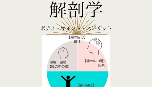 【ワークショップ】ワタシの解剖学